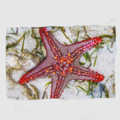 Starfish, Zanzibar, Tanzania Golfhanddoek (Horizontaal)