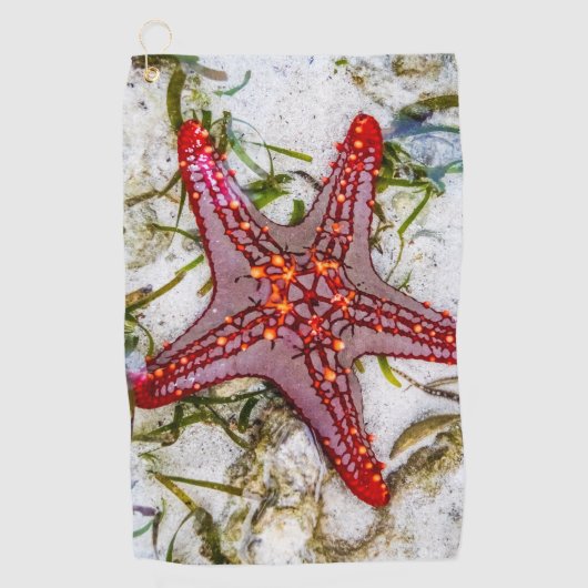 Starfish, Zanzibar, Tanzania Golfhanddoek (Voorkant)