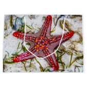 Starfish, Zanzibar, Tanzania Groot Cadeauzakje (Voorkant)