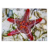 Starfish, Zanzibar, Tanzania Groot Cadeauzakje (Achterkant)