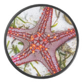 Starfish, Zanzibar, Tanzania Hockey Puck (Voorkant)