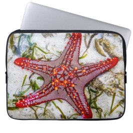 Starfish, Zanzibar, Tanzania Laptop Sleeve