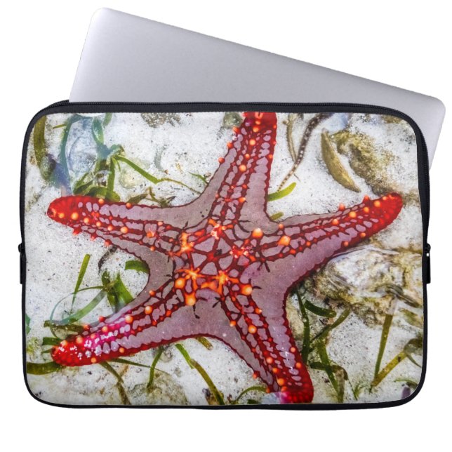Starfish, Zanzibar, Tanzania Laptop Sleeve (Voorkant)