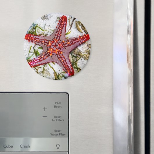 Starfish, Zanzibar, Tanzania Magneet (Insitu (Koelkast))