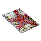 Starfish, Zanzibar, Tanzania Notitieboek (Rechterzijde)