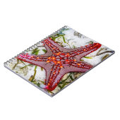 Starfish, Zanzibar, Tanzania Notitieboek (Linkerzijde)