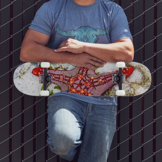 Starfish, Zanzibar, Tanzania Persoonlijk Skateboard (Buiten 3)