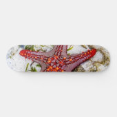 Starfish, Zanzibar, Tanzania Persoonlijk Skateboard (Horizontaal)