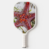 Starfish, Zanzibar, Tanzania Pickleball Paddle (Achterkant)