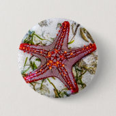 Starfish, Zanzibar, Tanzania Ronde Button 5,7 Cm (Voorkant)