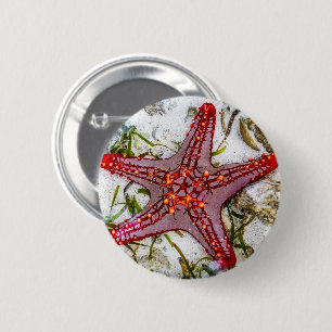 Starfish, Zanzibar, Tanzania Ronde Button 5,7 Cm