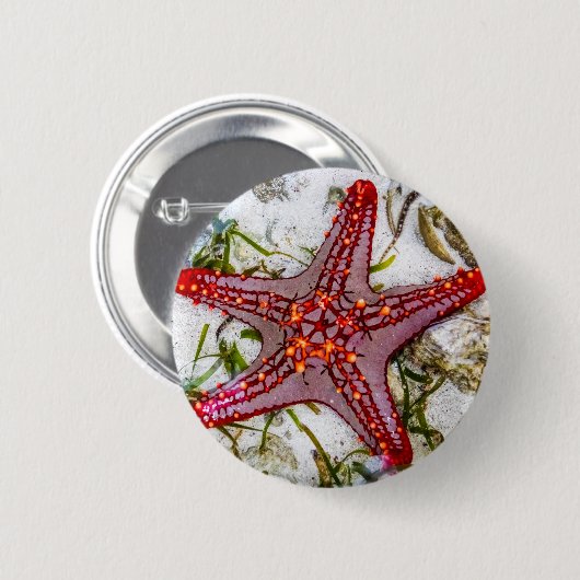 Starfish, Zanzibar, Tanzania Ronde Button 5,7 Cm (Voorkant /achterkant)