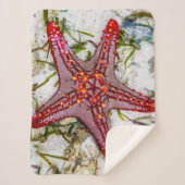 Starfish, Zanzibar, Tanzania Sherpa Deken (Voorkant)