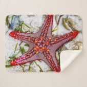 Starfish, Zanzibar, Tanzania Sherpa Deken (Voorkant (horizontaal))