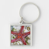 Starfish, Zanzibar, Tanzania Sleutelhanger (Voorkant)