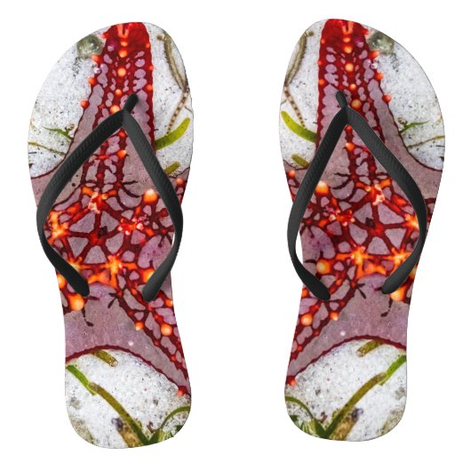 Starfish, Zanzibar, Tanzania Teenslippers (Voetbed)