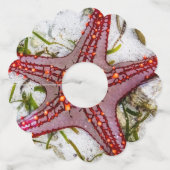 Starfish, Zanzibar, Tanzania Wijnglaslabel (Voorkant)
