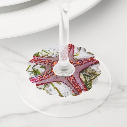 Starfish, Zanzibar, Tanzania Wijnglaslabel (Dichtbij)