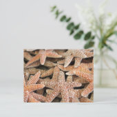 Starfish Zee Star Briefkaart (Staand voorkant)