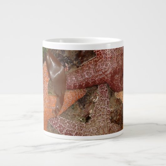 Starfish/Zee sterren in kanonstrand, OR, foto 4 Grote Koffiekop (Voorkant)