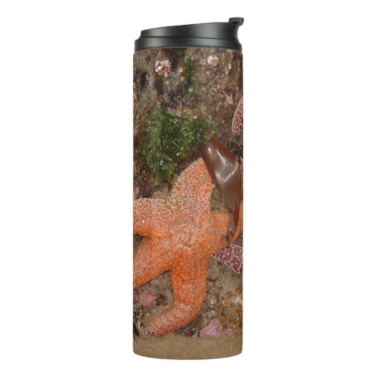 Starfish/Zee sterren in kanonstrand, OR, foto 4 Thermosbeker (Gedraaid links)