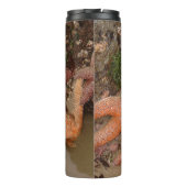 Starfish/Zee sterren in kanonstrand, OR, foto 4 Thermosbeker (Achterkant)