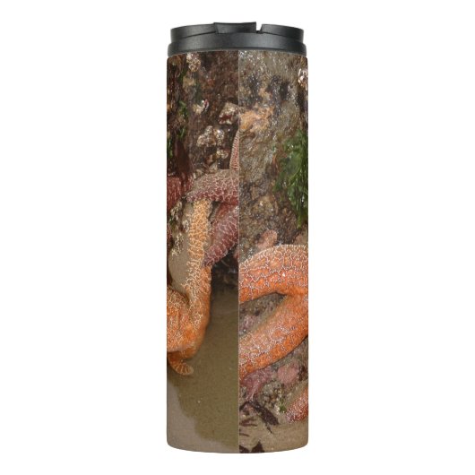 Starfish/Zee sterren in kanonstrand, OR, foto 4 Thermosbeker (Achterkant)