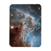 Starforming Region NGC 2174, Apenhoofdnevel. Magneet (Verticaal)