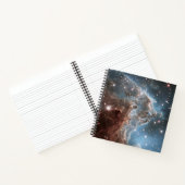 Starforming Region NGC 2174, Apenhoofdnevel. Notitieboek (Binnen)