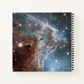 Starforming Region NGC 2174, Apenhoofdnevel. Notitieboek (Achterkant)