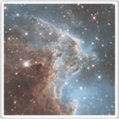 Starforming Region NGC 2174, Apenhoofdnevel. Sticker (Voorkant)