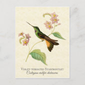 Starfrontlet Hummingbird Art Briefkaart (Voorkant)