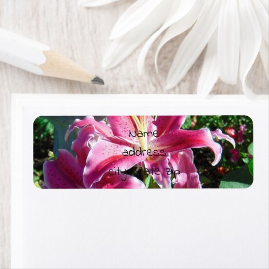 stargaalse leugens etiket (Insitu)