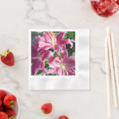 stargaalse leugens servet (Insitu)