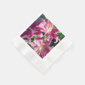 stargaalse leugens servet (Hoek)