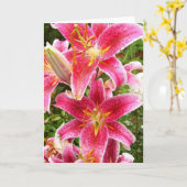 Stargazer Boeket Kaart (Gele Bloem)