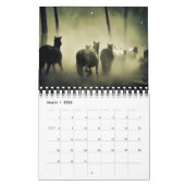 Stargazer Boerderij Paardenkalender Kalender (Mar 2026)