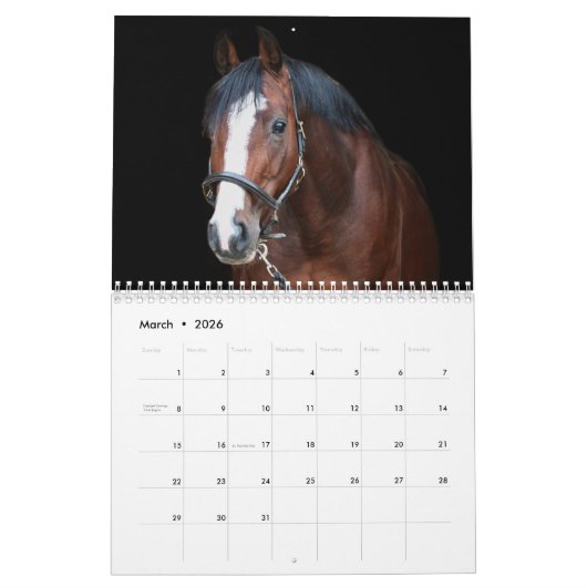 Stargazer Boerderijen Kalender (Mar 2026)