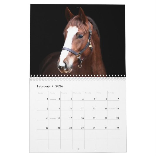 Stargazer Boerderijen Kalender (Feb 2026)