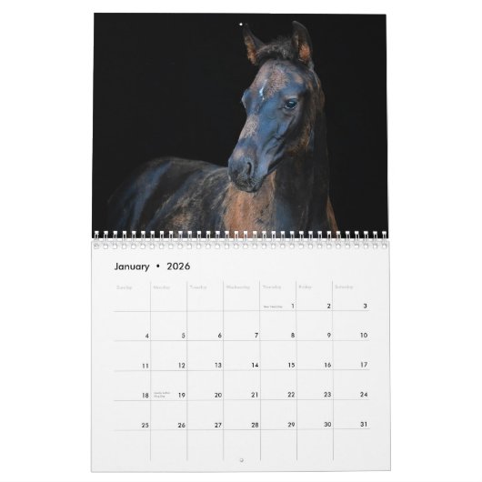 Stargazer Boerderijen Kalender (Jan 2026)