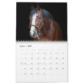 Stargazer Boerderijen Kalender (Mar 2027)