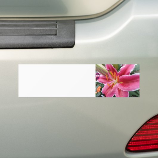 Stargazer Bumpersticker (Op auto)