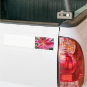 Stargazer Bumpersticker (Op Truck)