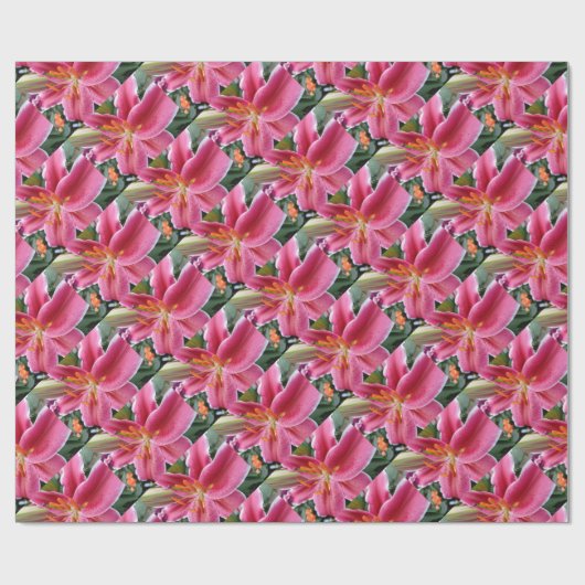 Stargazer Cadeaupapier (Vlak)