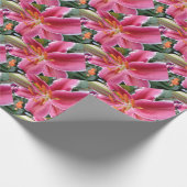 Stargazer Cadeaupapier (Hoek)