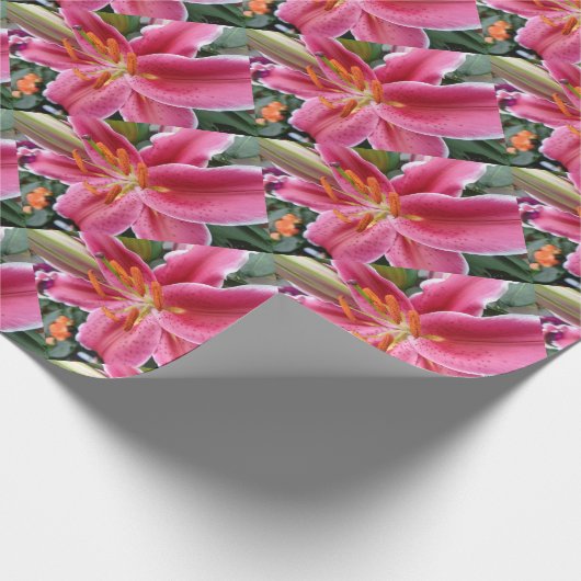 Stargazer Cadeaupapier (Hoek)