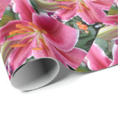 Stargazer Cadeaupapier (Rol Hoek)