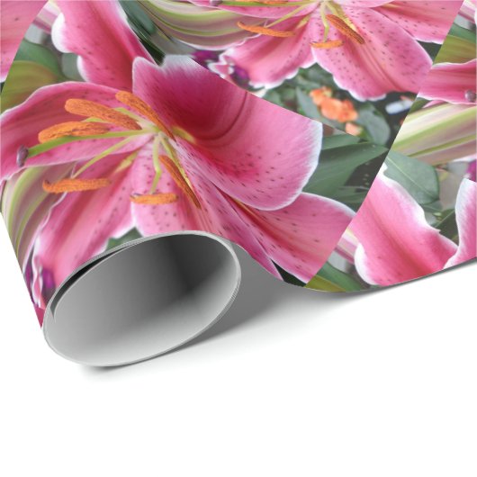 Stargazer Cadeaupapier (Rol Hoek)