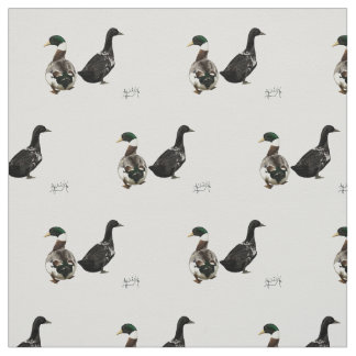 Stargazer Drake en zijn Lady Duck stof - wit