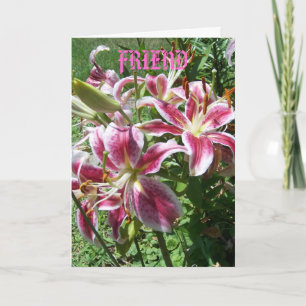 Stargazer Lelies/Vriend Kaart